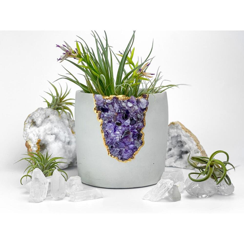 Large Geode Planter, AMETHYST Succulent 5 inch Concrete POT